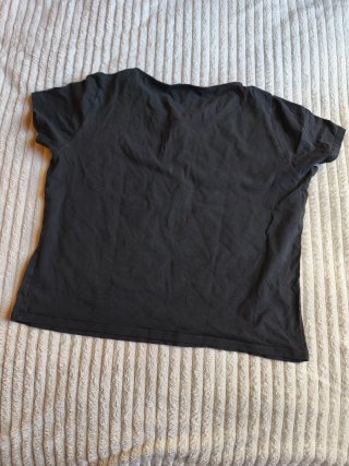 Camiseta Punt Roma (M/L/