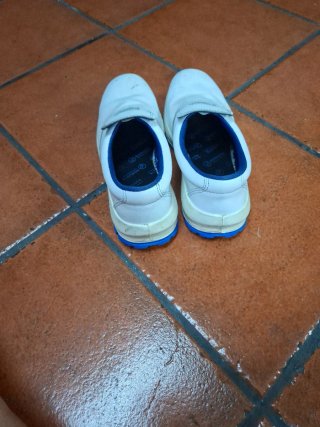 Zapatos de seguridad marca Robusta talla 39