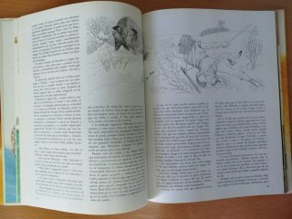 Monstruos, dioses y hombres de la mitología griega