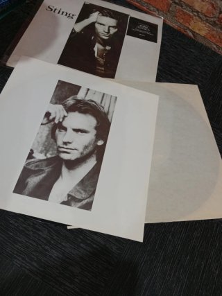 Vinilo Sting Nothing Like the Sun