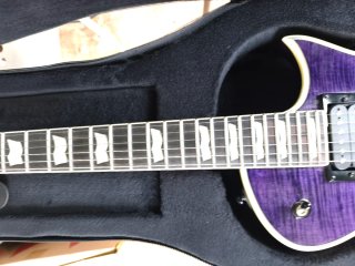 LTD EC-1000 Guitarra Eléctrica Púrpura