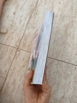 LAS AVENTURAS DE TOM SAWYER