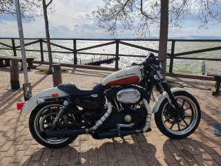 Harley Davidson Superlow 883cc