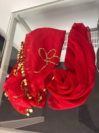 Conjunto Danza Vientre Rojo y Dorado