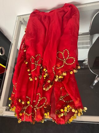Conjunto Danza Vientre Rojo y Dorado