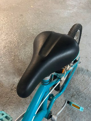 Bicicleta Infantil 20 pulgadas (6-9 años)