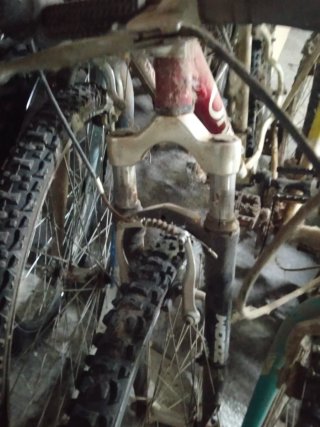 Lote de Bicicletas Variadas