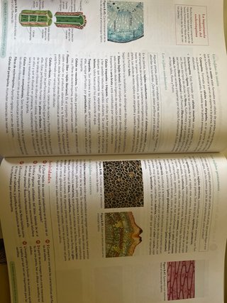 Biología, Geología y CC. Ambientales 1º Bachill...