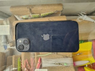 iPhone 14 Apple