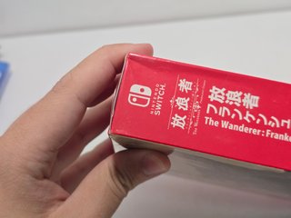 The Wanderer Frankenstein's Creature N Switch
