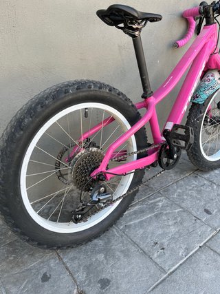 Bicicleta Trek Roscoe 20 Carretera