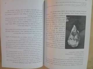 Libro Raro Il Maggiore F.Erba dei Mille di Marsala