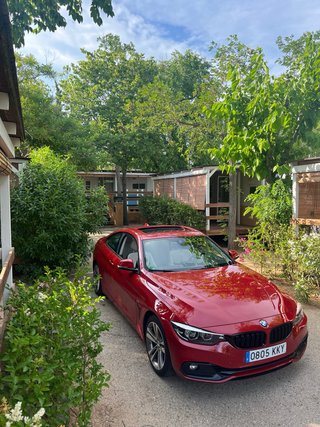 BMW Serie 4 2019 320i Coupe 184cv automatico
