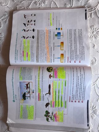 Biología y Geología 1º ESO. Libro del estudiant...