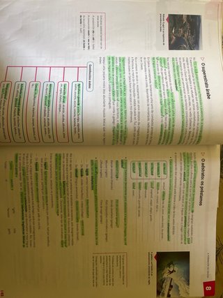 LINGUA E LITERATURA I