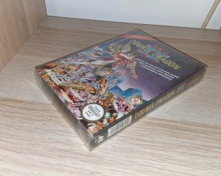 Double Dragon II: The Revenge NES
