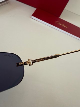 Occhiali da sole Cartier Première CT0577S 003