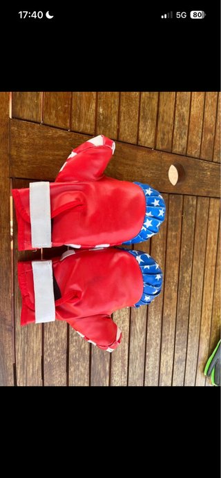 Guantes de Boxeo