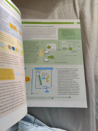 Biologia, 2 Batxillerat, Projecte Construint mons