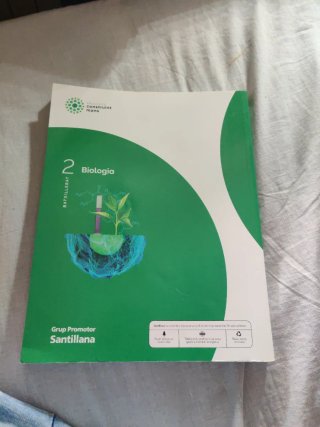 Biologia, 2 Batxillerat, Projecte Construint mons