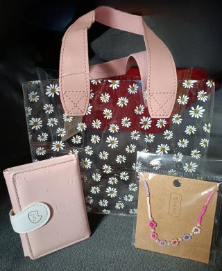 Lote Bolso transparente flores, tarjetero y collar