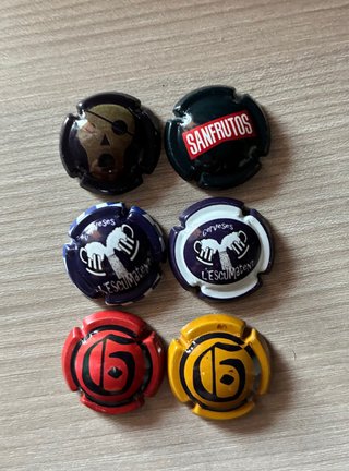 6 Chapas Cerveza Artesanal