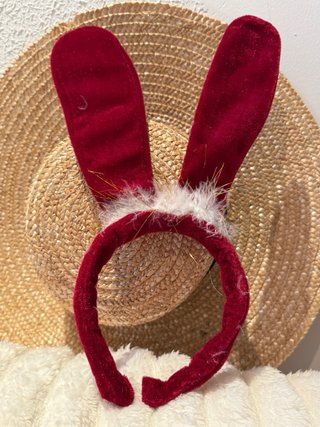 Conjunto de encaje rojo