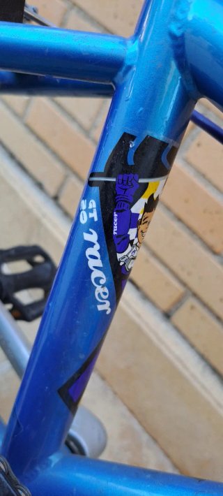 Bici bambino Btwin GT 20 racer 20 pollici