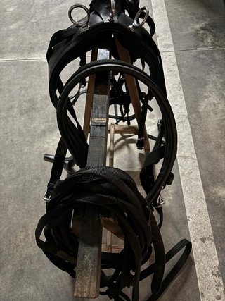 Guarnición para poni