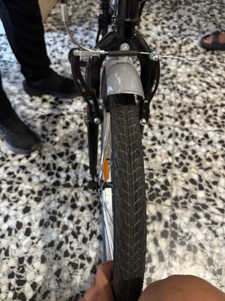 Bicicleta pieghevole F-Park 20