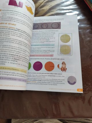 Matemáticas primaria. 6o