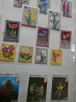 Francobolli fiori: Bulgaria, Ungheria, Nicaragua
