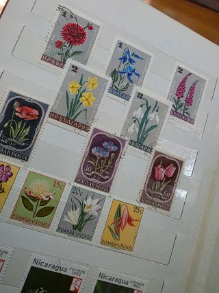 Francobolli fiori: Bulgaria, Ungheria, Nicaragua