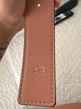 Cintura Gucci GG Marmont Beige/Marrone
