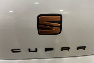 Seat Leon   2.0 TSI 221kW 300CV DSG6 StSp CUPRA