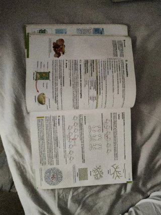 Biología 2o Bachillerato