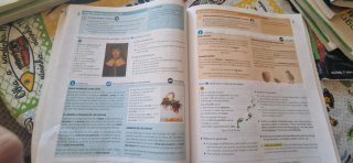 Lengua castellana y Literatura por tareas 3 ESO...