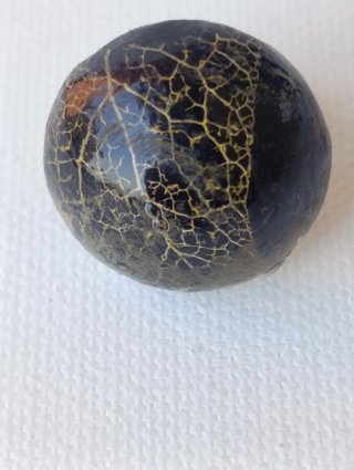 Anello Linfa Vitale - Nero e Oro