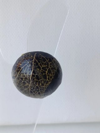 Anello Linfa Vitale - Nero e Oro