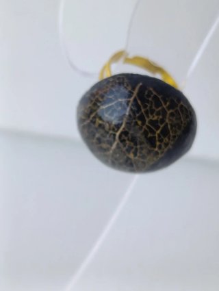 Anello Linfa Vitale - Nero e Oro