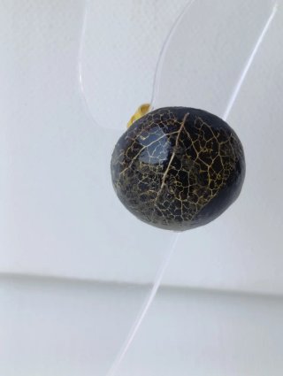 Anello Linfa Vitale - Nero e Oro