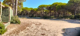 Parcela en Pinar del Hierro  Chiclana