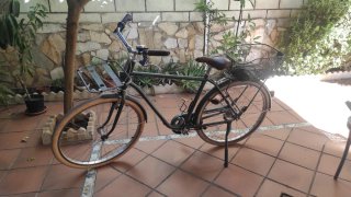 Bicicleta Paseo Adulto con Cesta