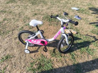 Bicicleta Dtb FUN 160 PLUS LTD