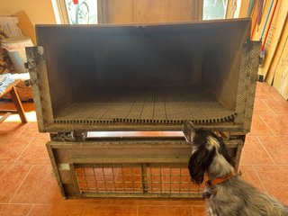 Remolque para perros en buen estado