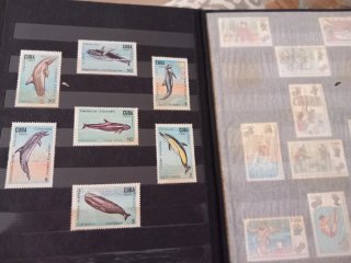 Album di francobolli Cuba 1950-1970