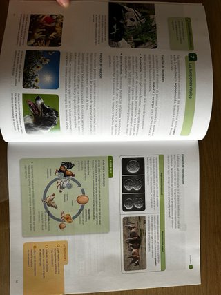 Biología y Geología 1 ESO Vol. 2 Santillana