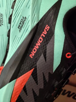 Salomon Sense Ride 5 Negro/Verde Azulado