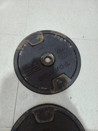 2 discos 10 kg Domyos hierro 28 mm