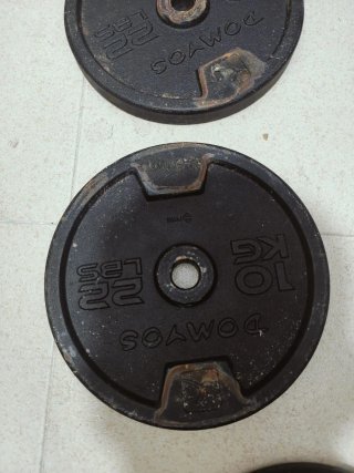 2 discos 10 kg Domyos hierro 28 mm